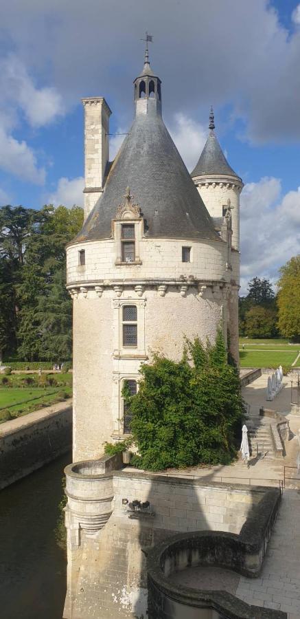 Maison D Hotes La Petite Jucherie Saint-Hippolyte  Zewnętrze zdjęcie
